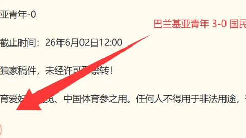 加拿大与乌兹别克斯坦友谊赛深度解析：2026前瞻指南